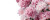 Pink Peony Flowers Vinyl Car Decal Sticker – Waterproof & UV-Resistant 