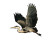 Heron In Flight Vinyl Car Decal Sticker – Waterproof & UV-Resistant 