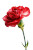 Bright Red Carnation Vinyl Car Decal Sticker – Waterproof & UV-Resistant 