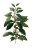 Vintage Coffee Plant Vinyl Car Decal Sticker – Waterproof & UV-Resistant 