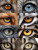 Animal Eyes Collage Vinyl Car Decal Sticker – Waterproof & UV-Resistant 