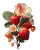 Ripe Strawberry Close-Up V2 Vinyl Car Decal Sticker – Waterproof & UV-Resistant 
