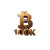 Golden Bitcoin Vision Vinyl Car Decal Sticker – Waterproof & UV-Resistant 