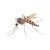 Tiger Mosquito Vinyl Car Decal Sticker – Waterproof & UV-Resistant 