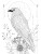 Minimal Bird Art Vinyl Car Decal Sticker – Waterproof & UV-Resistant 