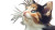 Cute Garden Cat Vinyl Car Decal Sticker – Waterproof & UV-Resistant 