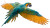 Colorful Parrot Flying Vinyl Car Decal Sticker – Waterproof & UV-Resistant 