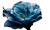 Blue Rose V2 Vinyl Car Decal Sticker – Waterproof & UV-Resistant 