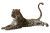 Leopard On White Vinyl Car Decal Sticker – Waterproof & UV-Resistant 