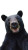 Happy Bear Selfie Vinyl Car Decal Sticker – Waterproof & UV-Resistant 