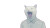Stylized White Cat V2 Vinyl Car Decal Sticker – Waterproof & UV-Resistant 
