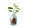 Seedlings In Bottle Vinyl Car Decal Sticker – Waterproof & UV-Resistant 