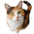 Calico Cat V3 Vinyl Car Decal Sticker – Waterproof & UV-Resistant 