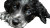 Playful Spaniel Puppy Vinyl Car Decal Sticker – Waterproof & UV-Resistant 