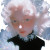 Aristocratic Girl V2 Vinyl Car Decal Sticker – Waterproof & UV-Resistant 