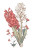 Vintage Hyacinths Illustration Vinyl Car Decal Sticker – Waterproof & UV-Resistant 