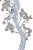 Surreal Tree X-Ray Vinyl Car Decal Sticker – Waterproof & UV-Resistant 