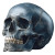 3D Skull Model V4 Vinyl Car Decal Sticker – Waterproof & UV-Resistant 