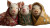 Pigs In Blanket Vinyl Car Decal Sticker – Waterproof & UV-Resistant 