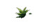 Mossy Stone Close-Up Vinyl Car Decal Sticker – Waterproof & UV-Resistant 