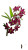Dreamy Dendrobium Bloom Vinyl Car Decal Sticker – Waterproof & UV-Resistant 