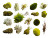 Variety Of Moss V2 Vinyl Car Decal Sticker – Waterproof & UV-Resistant 