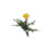 Dandelion In Concrete V2 Vinyl Car Decal Sticker – Waterproof & UV-Resistant 