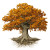 Vintage Oak Illustration Vinyl Car Decal Sticker – Waterproof & UV-Resistant 
