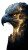 Majestic Eagle Silhouette V5 Vinyl Car Decal Sticker – Waterproof & UV-Resistant 