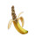 Banana With Buds Vinyl Car Decal Sticker – Waterproof & UV-Resistant 