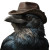Cowboy Crow Vinyl Car Decal Sticker – Waterproof & UV-Resistant 
