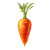 Fresh Organic Carrot Vinyl Car Decal Sticker – Waterproof & UV-Resistant 