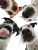 Dogs Licking Ice Cream Vinyl Car Decal Sticker – Waterproof & UV-Resistant 