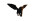Winged Tiger Beast Vinyl Car Decal Sticker – Waterproof & UV-Resistant 