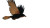 Flying Crow Close-Up Vinyl Car Decal Sticker – Waterproof & UV-Resistant 