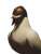 King'S Dove Vinyl Car Decal Sticker – Waterproof & UV-Resistant 