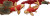 Red Gold Koi Embroidery V2 Vinyl Car Decal Sticker – Waterproof & UV-Resistant 
