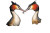 Courting Grebes Vinyl Car Decal Sticker – Waterproof & UV-Resistant 