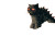 Catzilla Vinyl Car Decal Sticker – Waterproof & UV-Resistant 