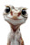 Otter-Gecko Hybrid Vinyl Car Decal Sticker – Waterproof & UV-Resistant 