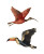 Tropical Birds Flight Vinyl Car Decal Sticker – Waterproof & UV-Resistant 