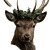 Stag With Laurel Vinyl Car Decal Sticker – Waterproof & UV-Resistant 