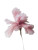 Pink Blurred Flower V5 Vinyl Car Decal Sticker – Waterproof & UV-Resistant 