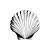 Vector Seashell Vinyl Car Decal Sticker – Waterproof & UV-Resistant 