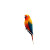 Cute Parrot Vinyl Car Decal Sticker – Waterproof & UV-Resistant 
