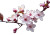 Riverside Flower Tree Vinyl Car Decal Sticker – Waterproof & UV-Resistant 