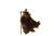 Gandalf Defiant Vinyl Car Decal Sticker – Waterproof & UV-Resistant 