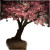 Cherry Tree Vinyl Car Decal Sticker – Waterproof & UV-Resistant 