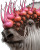 Exotic Biodiversity Exhibit V7 Vinyl Car Decal Sticker – Waterproof & UV-Resistant 