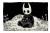 Hollow Knight'S Kitten Vinyl Car Decal Sticker – Waterproof & UV-Resistant 